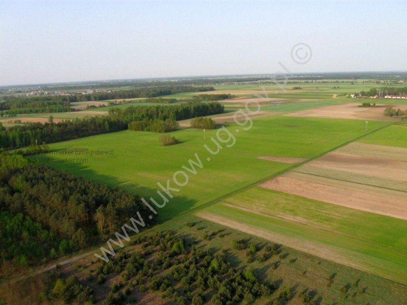 Lazy TSSE foto_1.jpg